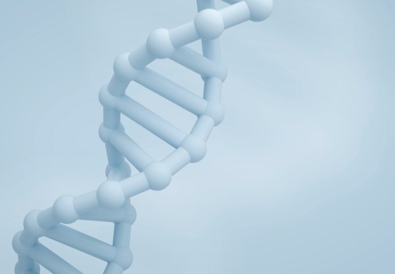 Genomics and bioinformatics certificate image.png